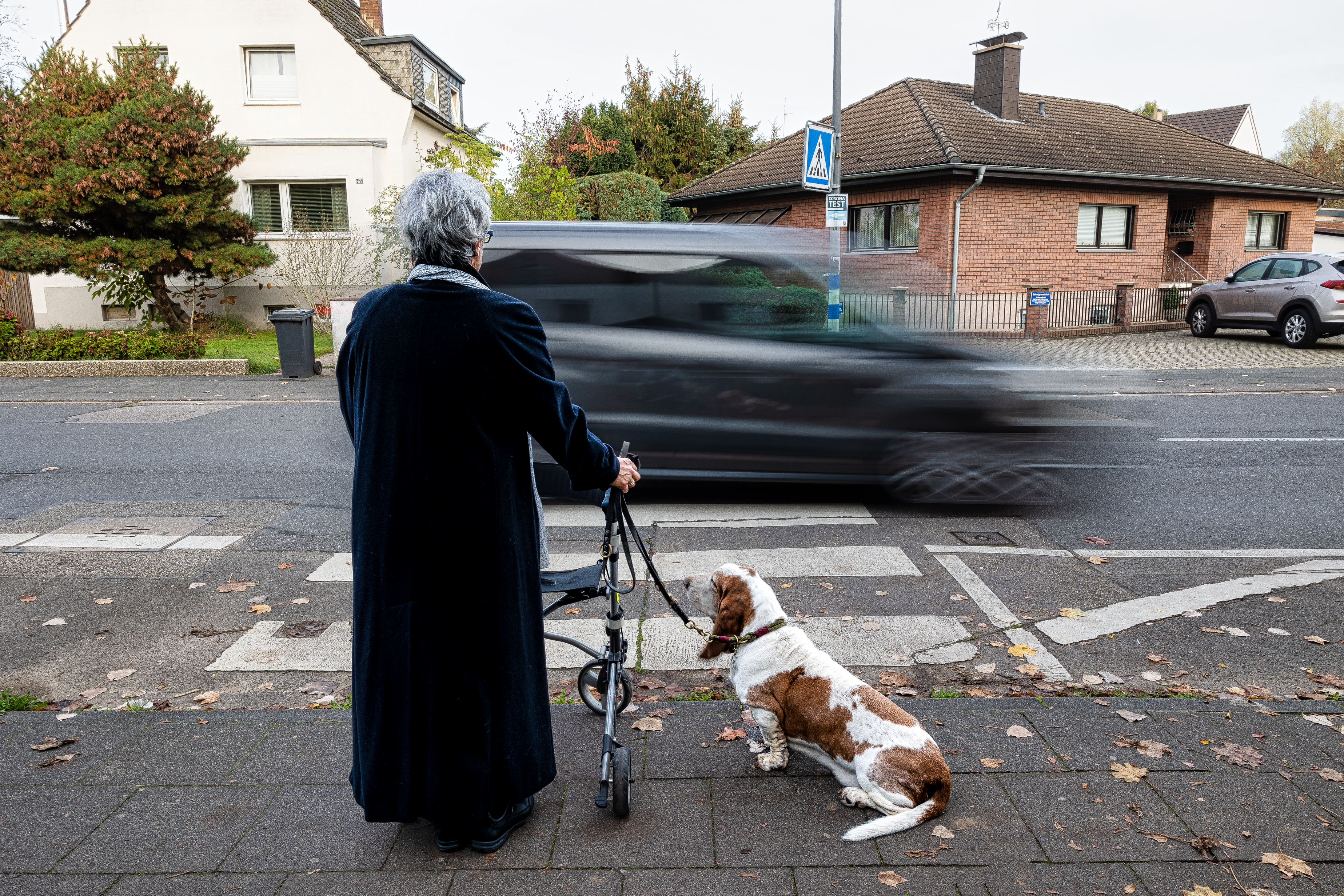 Seniorin mit Hund und Rollator an Zebrastreifen