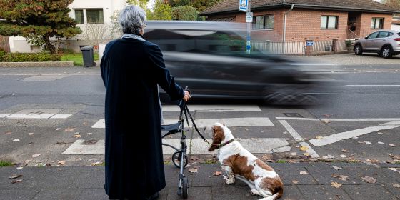 Seniorin mit Hund und Rollator an Zebrastreifen